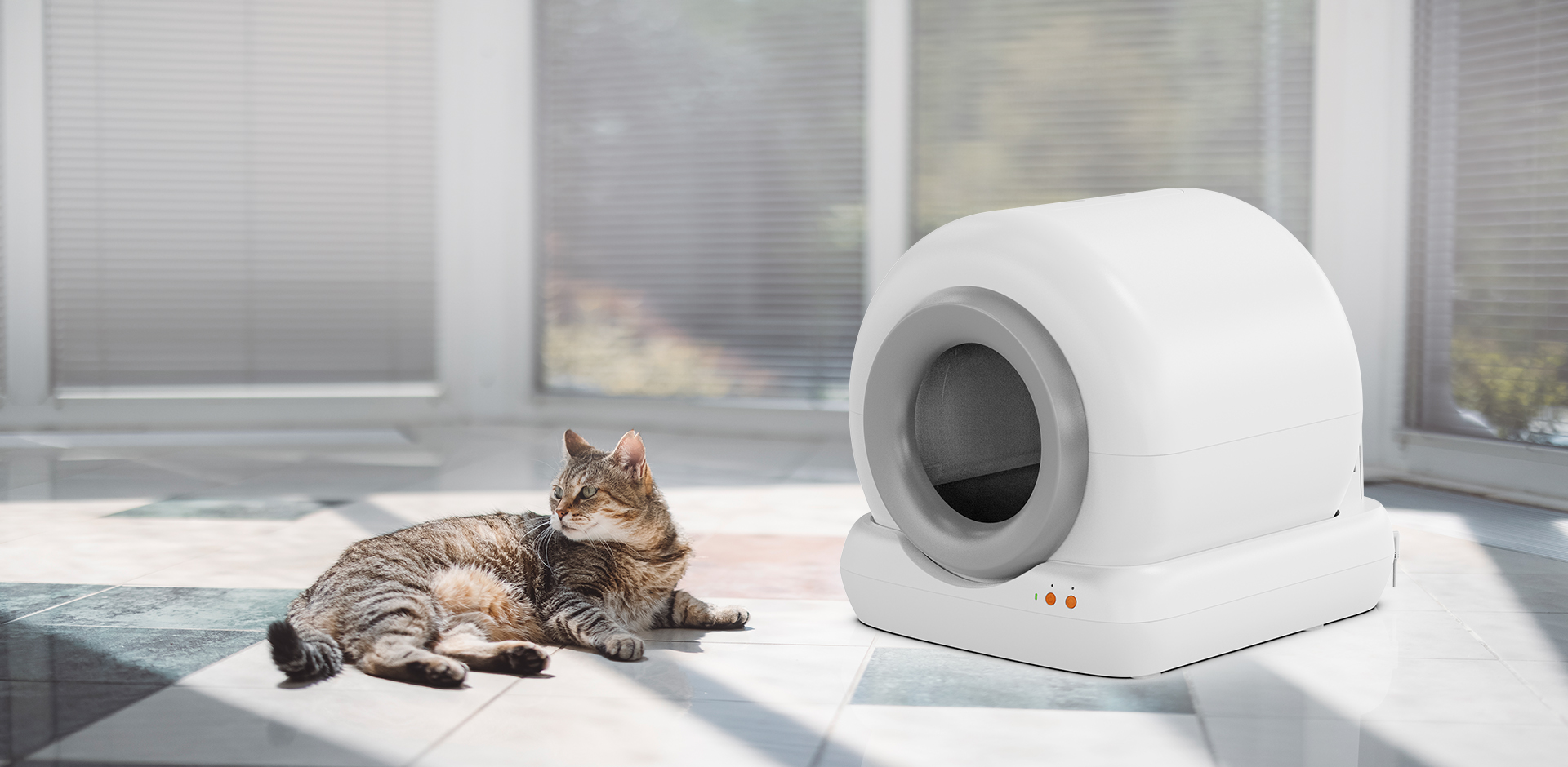 Ningbo Meace Pet Products Co., Ltd.